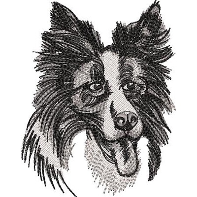 Matriz de matriz Matriz De Bordado Cachorro Border Collie