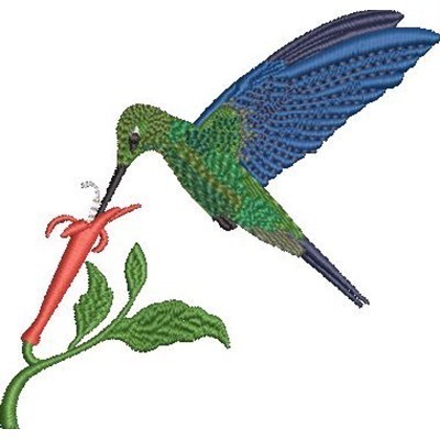 Matriz de matriz Matriz De Bordado Beija Flor 3