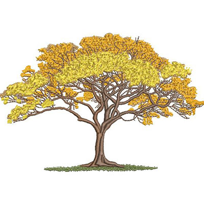 Matriz de matriz Matriz De Bordado Ipê Amarelo 15 Cm