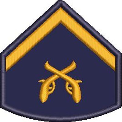Matriz de matriz Matriz De Bordado Escudo De Divisa 14