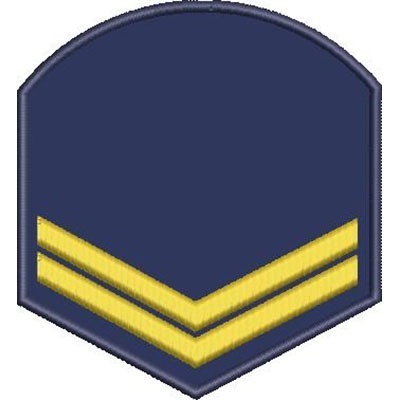 Matriz de matriz Matriz De Bordado Escudo De Divisa 10