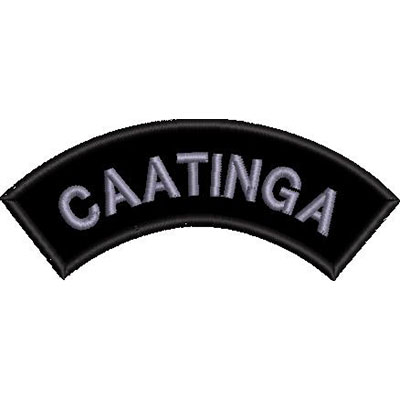 Matriz de matriz Matriz De Bordado Manicaca Caatinga