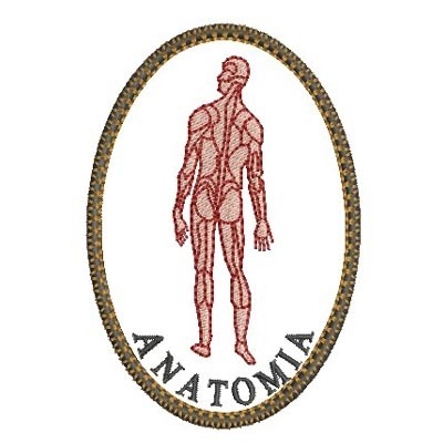 Matriz de matriz Matriz De Bordado Anatomia