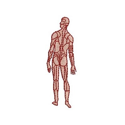 Matriz de matriz Matriz De Bordado Corpo Humano