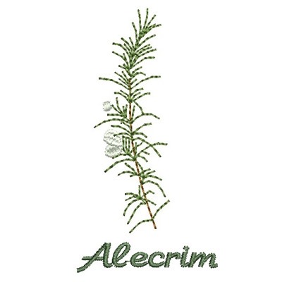 Matriz de matriz Matriz De Bordado Alecrim 2