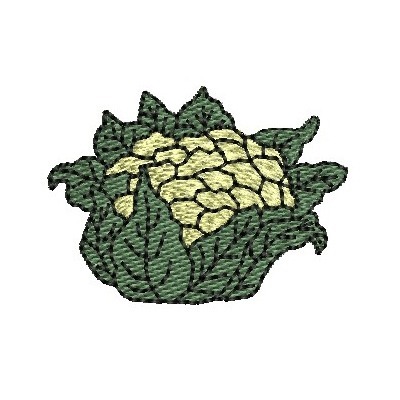 Matriz de matriz Matriz De Bordado Couve Flor