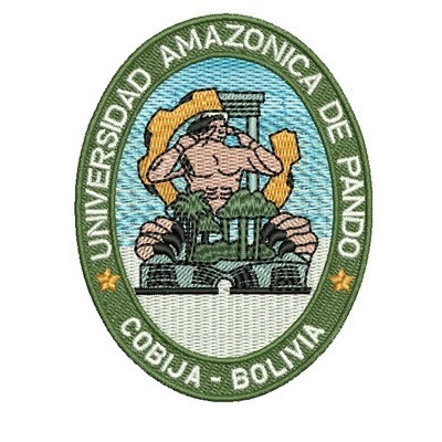 Matriz de matriz Matriz De Bordado Universidad Amazonica De Pando