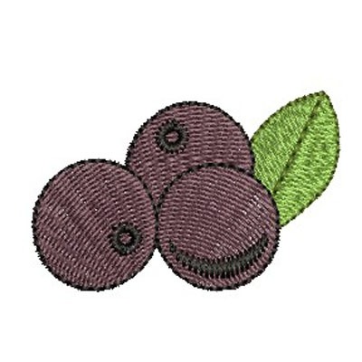 Matriz de matriz Matriz De Bordado Açai