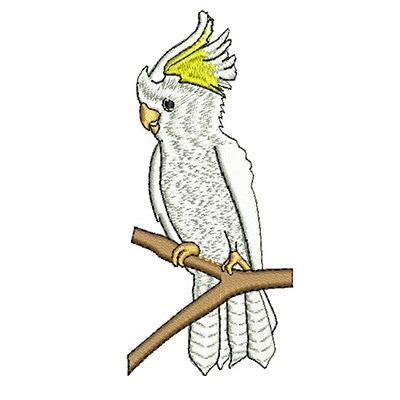 Matriz de matriz Matriz De Bordado Cacatua