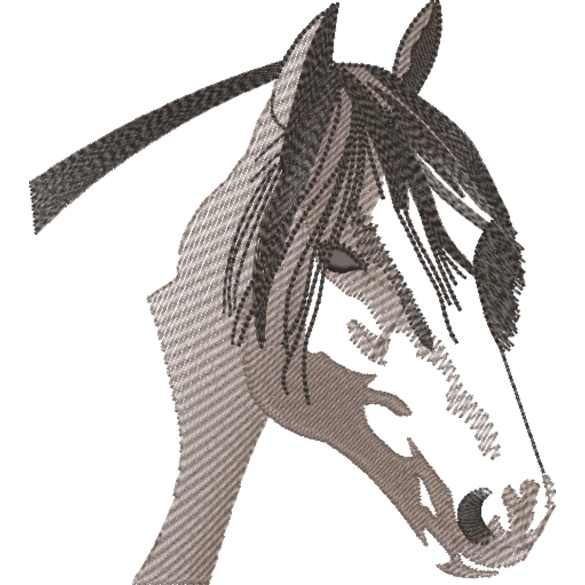 Matriz De Bordado Cavalo