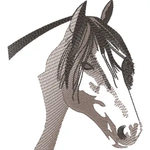 Matriz De Bordado Cavalo — imagem 1